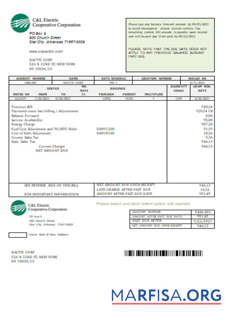 Realistic C & L Electric Cooperative Corporation utility business bill,SCR download for verification